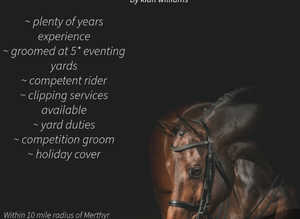 Equine freelance grooming services