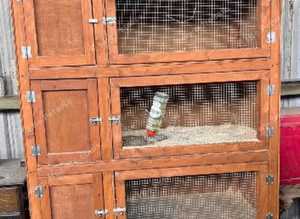 Large rabbit hutch triple