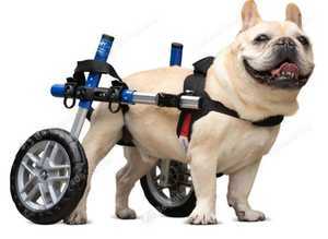 Walkin' Wheels