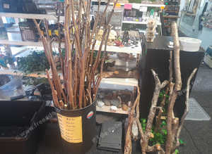 Branches