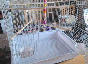 Lovely used once as new bird cage