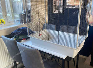 Rodent cage
