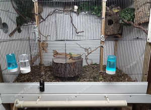 For sale