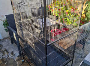 Large cage