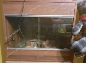 2 Ft Vivarium with heat mat and light fitting.