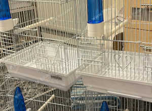 Cage