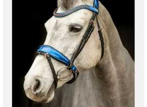Stunning bridle