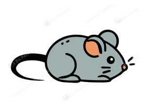 Frozen Mice surplus to requirement