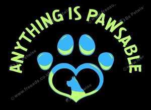 Anything is Pawsable Dog Training (Reactive Dog Specialists)
