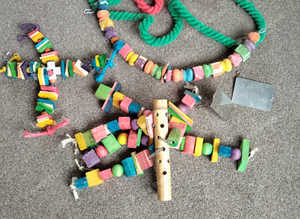 parrot toys