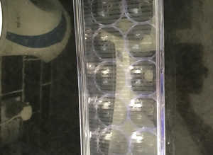 Fridge egg tray