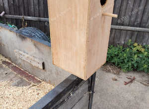 nest box parrot