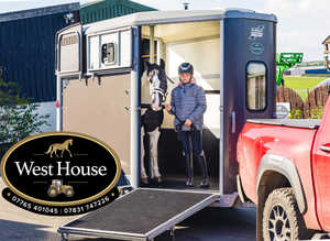 Horse Trailer Hire