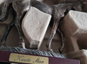 Atlas race horses