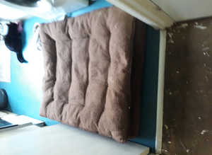 Large brown dog bed removable covers