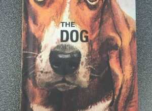 (448) The Dog Ladybird book, new!