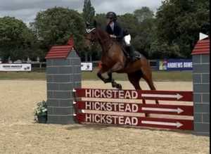 15.2 Irish thoroughbred mare