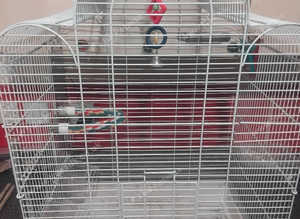Bird gage