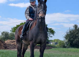 Beautiful schoolmaster