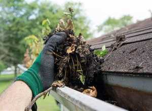 GUTTER CLEARANCE - BLOCKED GUTTERS - LEAKING GUTTERS - GUTTER REPAIR
