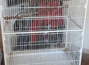metal huge white bird cage on trolley with shelf - fab condition paw hut make