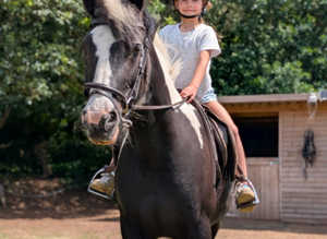 Very quiet 14hh been there done it all