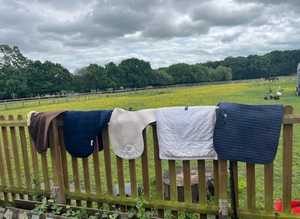 Dressage Numnahs - large/ full size vgc