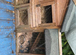 Rabbit hutch