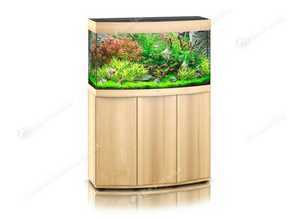 Fish Tank CHEAP!