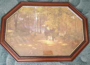 Beautiful forest framed print. Collection only Chatham, Kent
