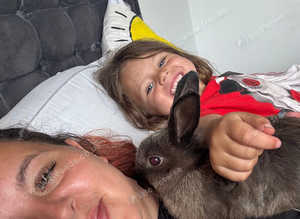 1 female Netherland dwarf 2 male lops