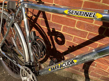 barracuda sentinel bike