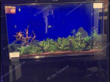 Aquarium tanks for sales sale