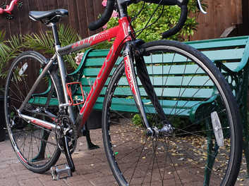 carrera carbon fibre road bike