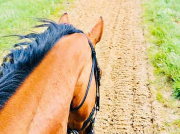 Rowebuck Stables, Uckfield