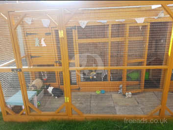 Bunny kennels near me sale