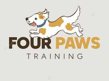 Patient paws best sale dog training