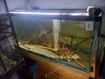 400 litre fish outlet tank