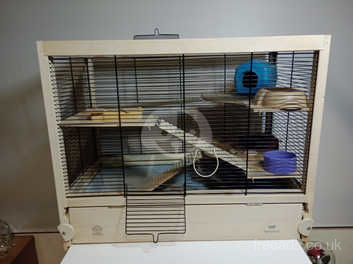 Alfabet Af en toe wetenschapper Ferplast Fsc Wooden Cage For Hamsters Hamsterville, Mouse And More £30 in  Nottingham NG3 on Freeads Classifieds - Small Animal Cages classifieds
