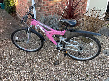 Trax ladies shop mountain bike pink