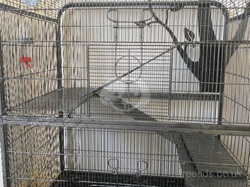 large rat cage