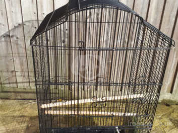 black bird cages for sale