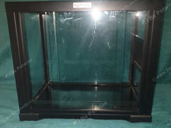 Komodo glass hot sale vivarium