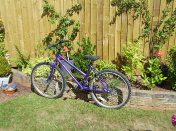 townsend ladies bike