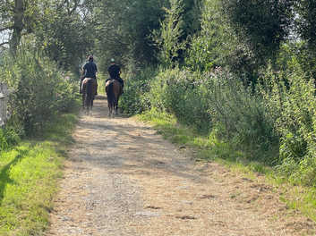 Rowebuck Stables, Uckfield