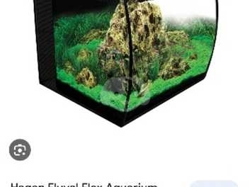 11+ Fish Tank 15 Gallon