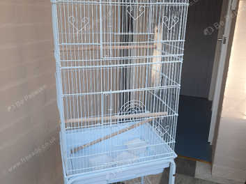 2nd hand bird cages for outlet sale