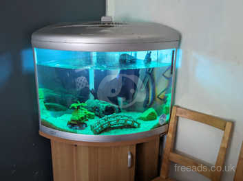 Fish tank for sale in Auchterarder