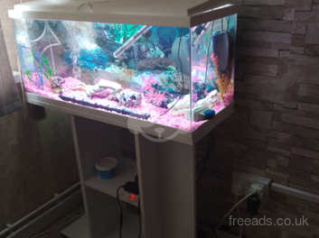 75 litre best sale fish tank