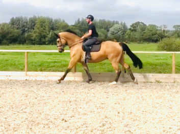 Rowebuck Stables, Uckfield